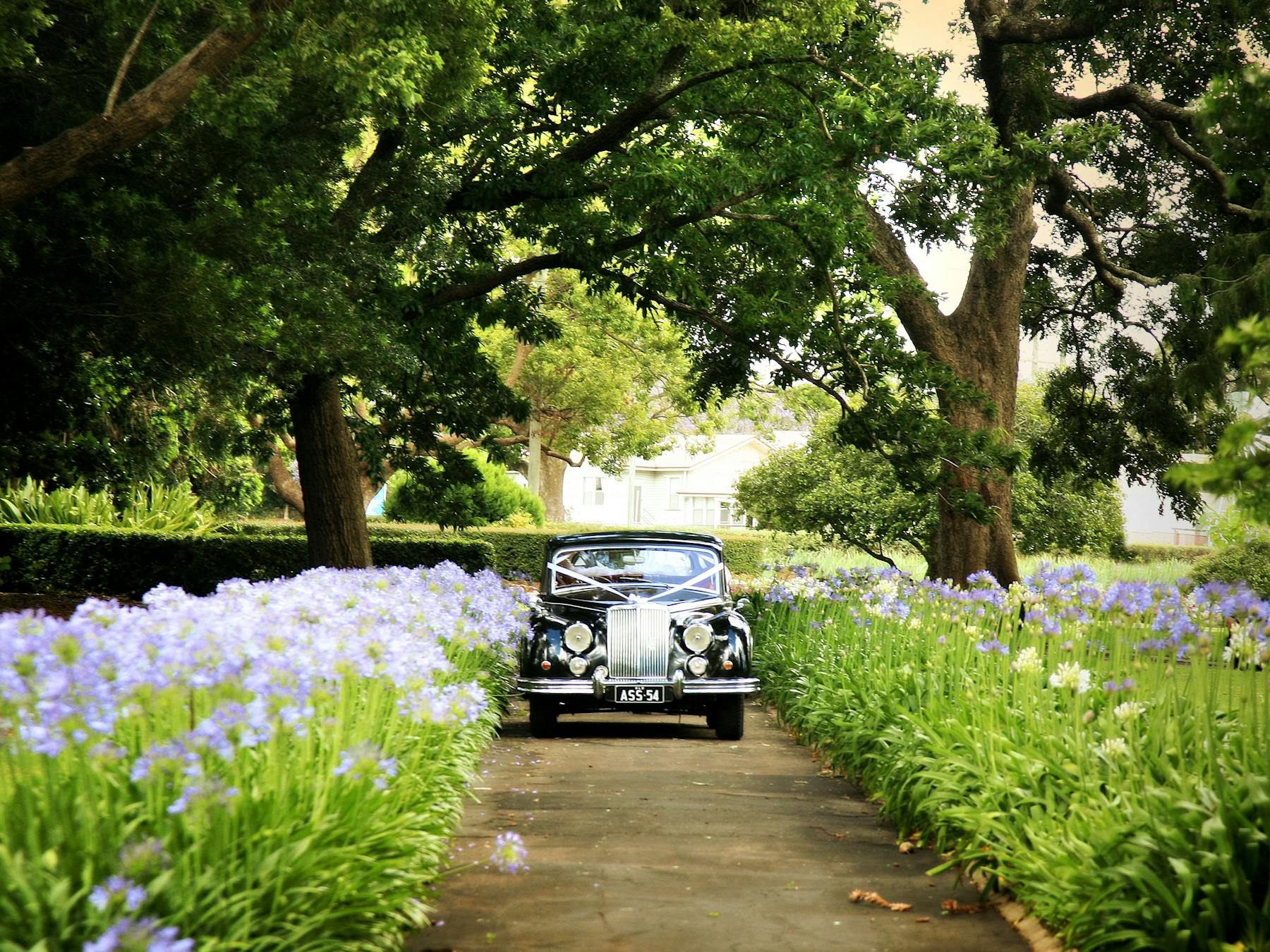 Queens Park, Toowoomba