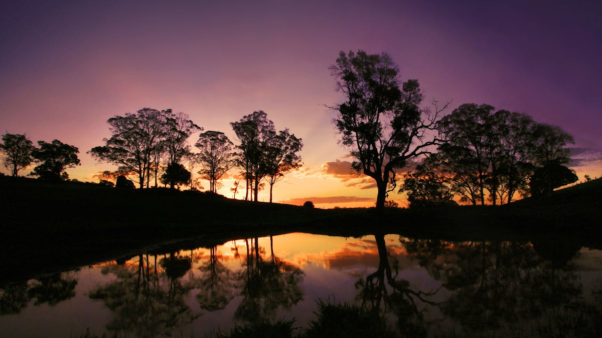 Sunset, Highfields