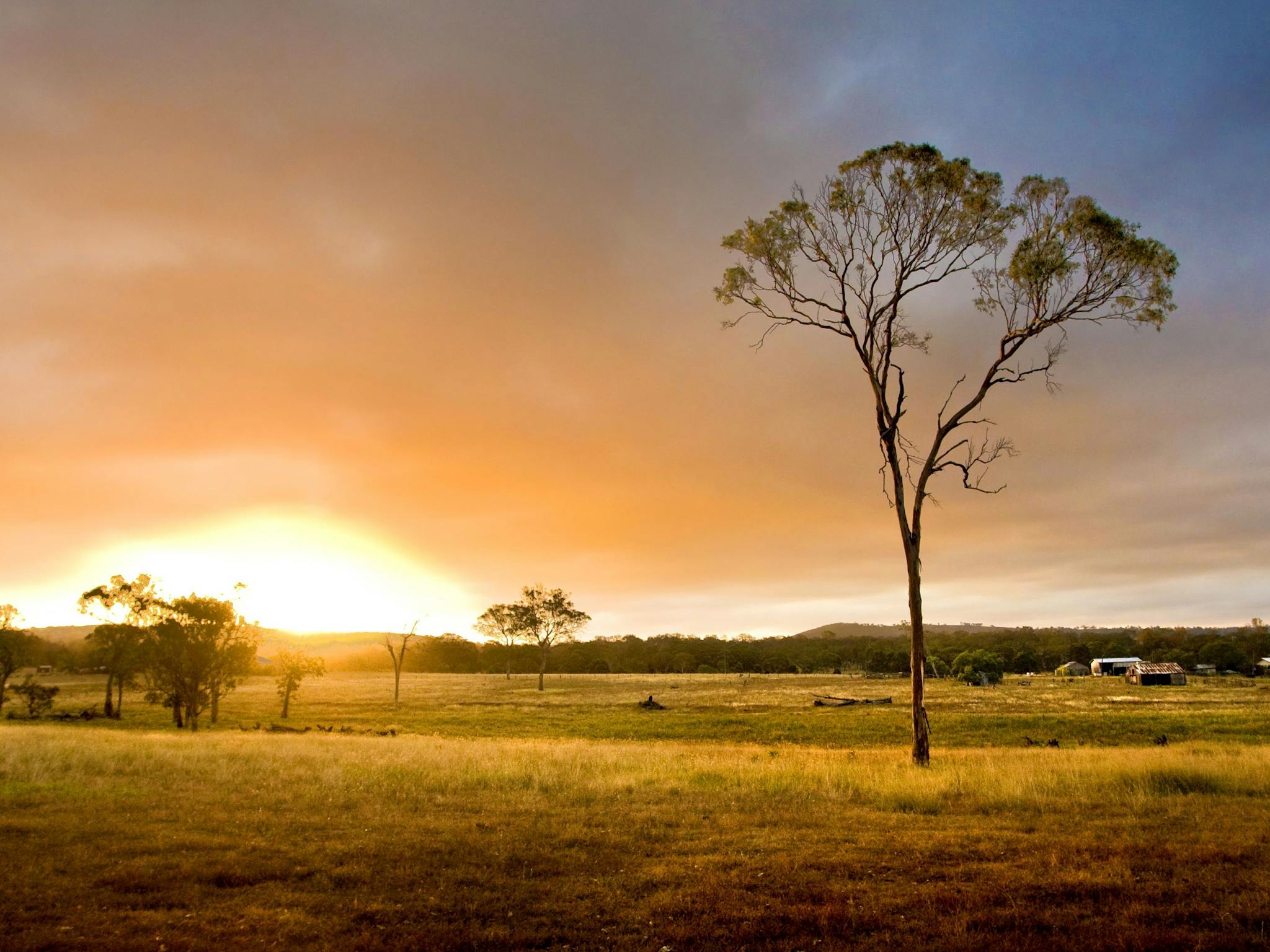 Sunset, Crows Nest Sunset, Crows Nest