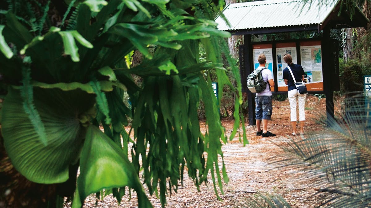 Central Station, Fraser Island.