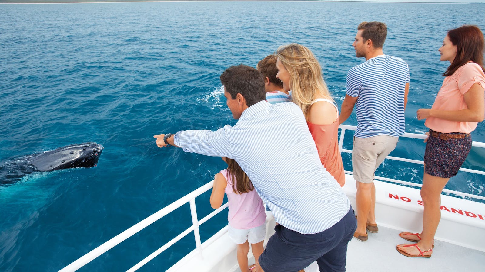 Whale Watching