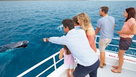 Whale Watching