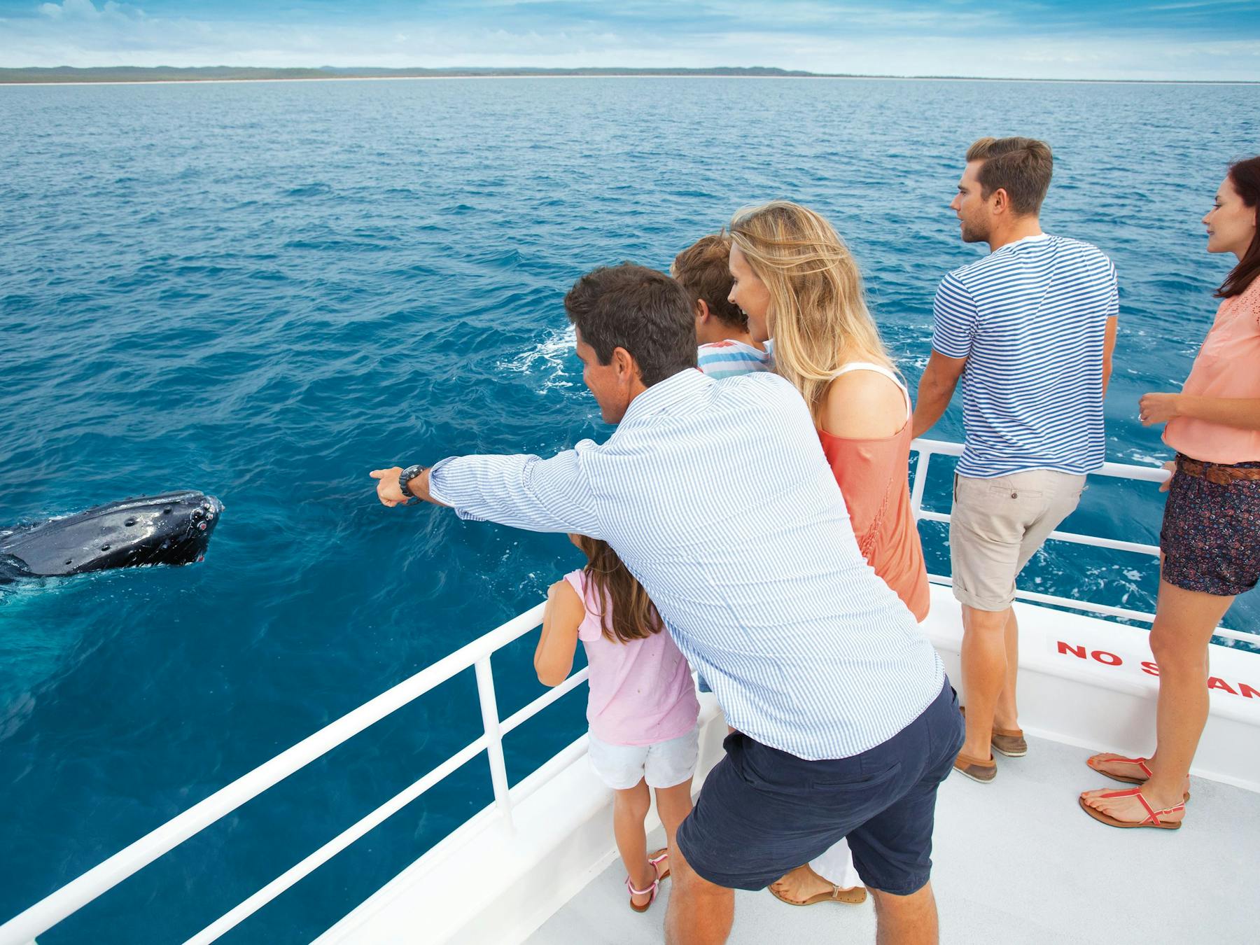 Whale Watching, Hervey Bay, Queensland.