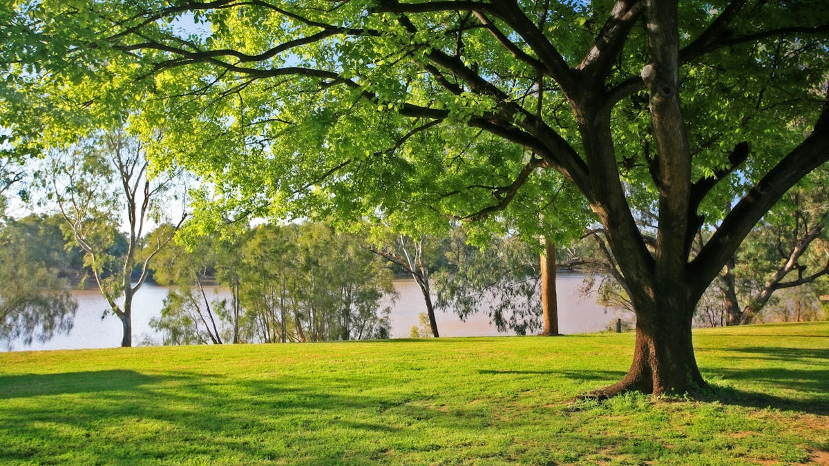 Bank of the River, St George