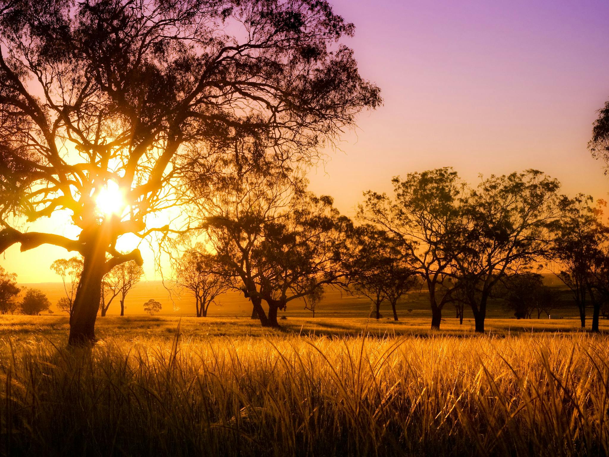Sunset, Darling Downs 