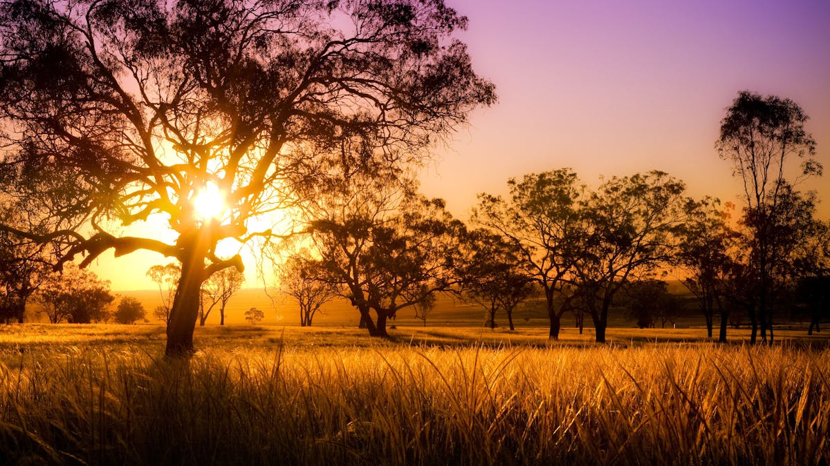 Sunset, Darling Downs Sunset, Darling Downs