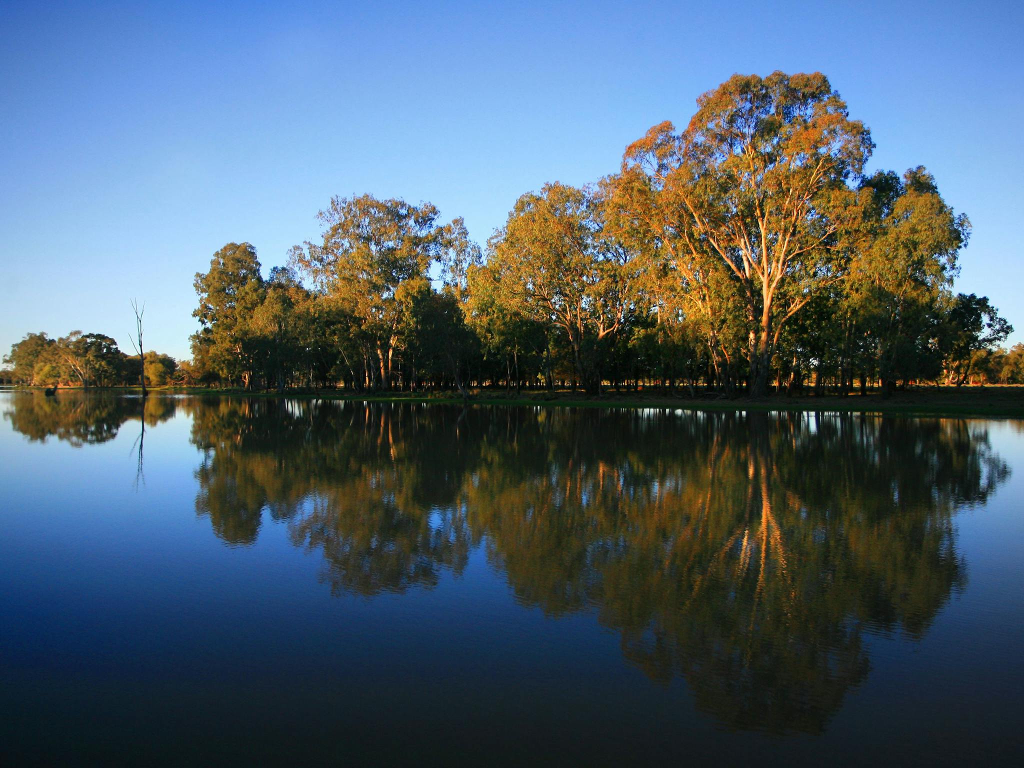 Lagoon, Glenmorgan Lagoon, Glenmorgan