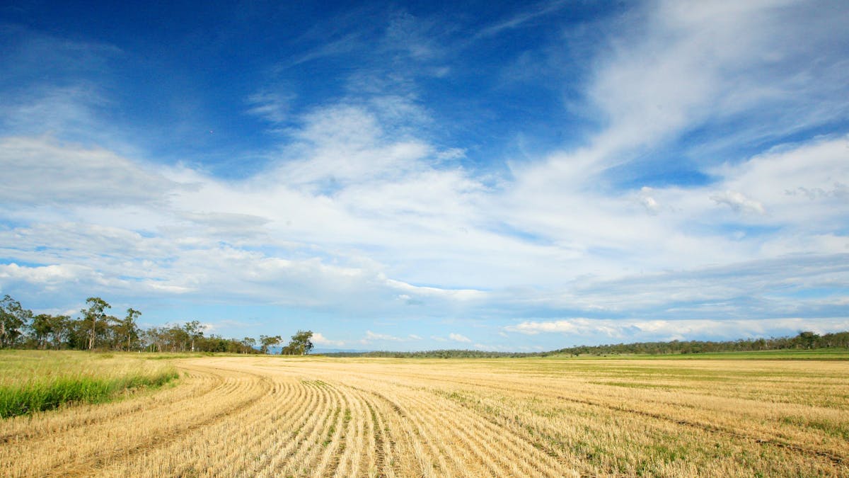 Farming, Western Downs