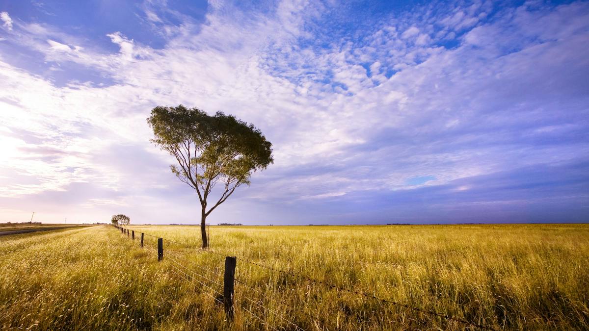 Dulacca | Destination-information | Queensland