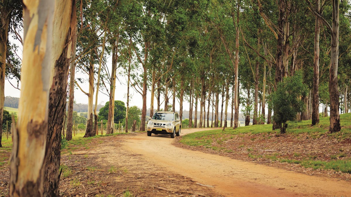 Country road, South Burnett
