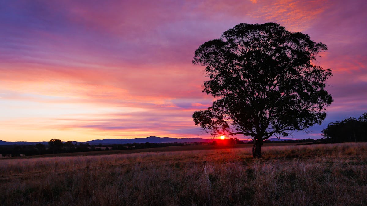 Sunset, Killarney