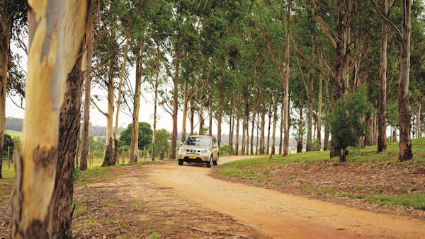 Self-drive South Burnett