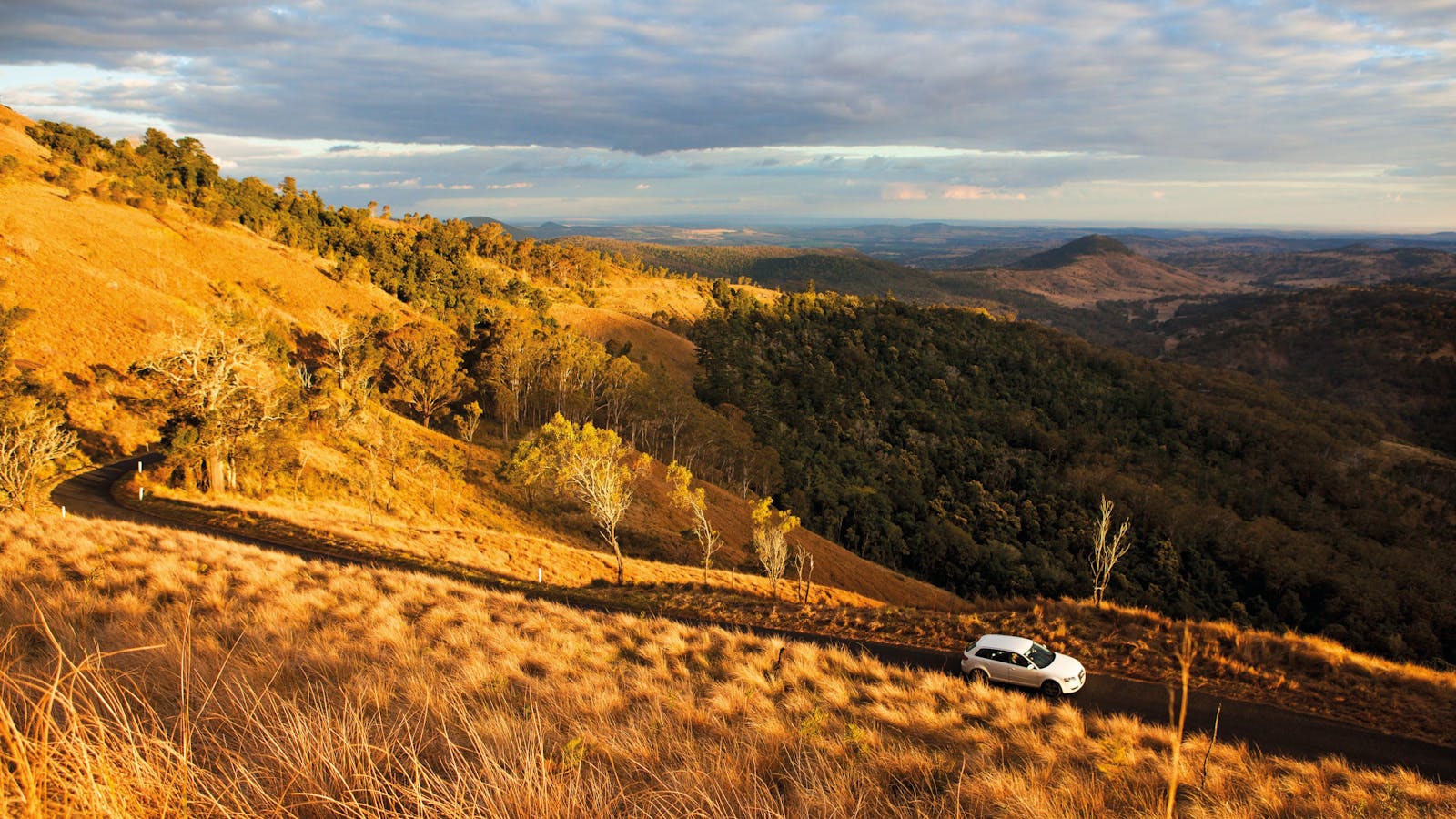 Bunya Mountains National Park