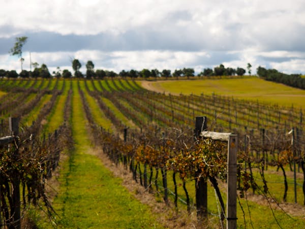 South Burnett Winery South Burnett Winery