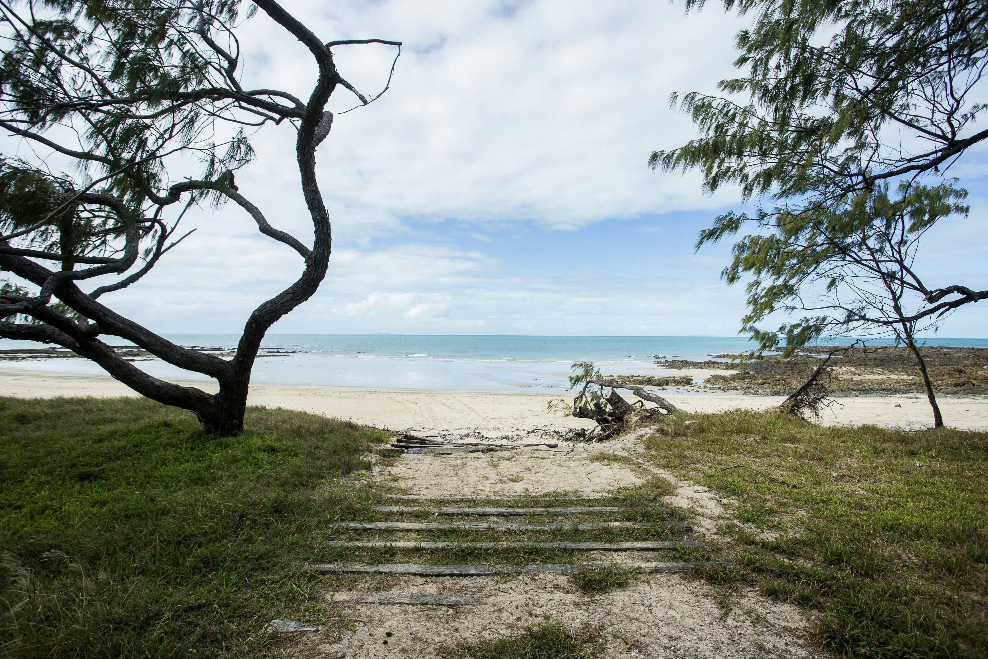 Cape Palmerston beach access