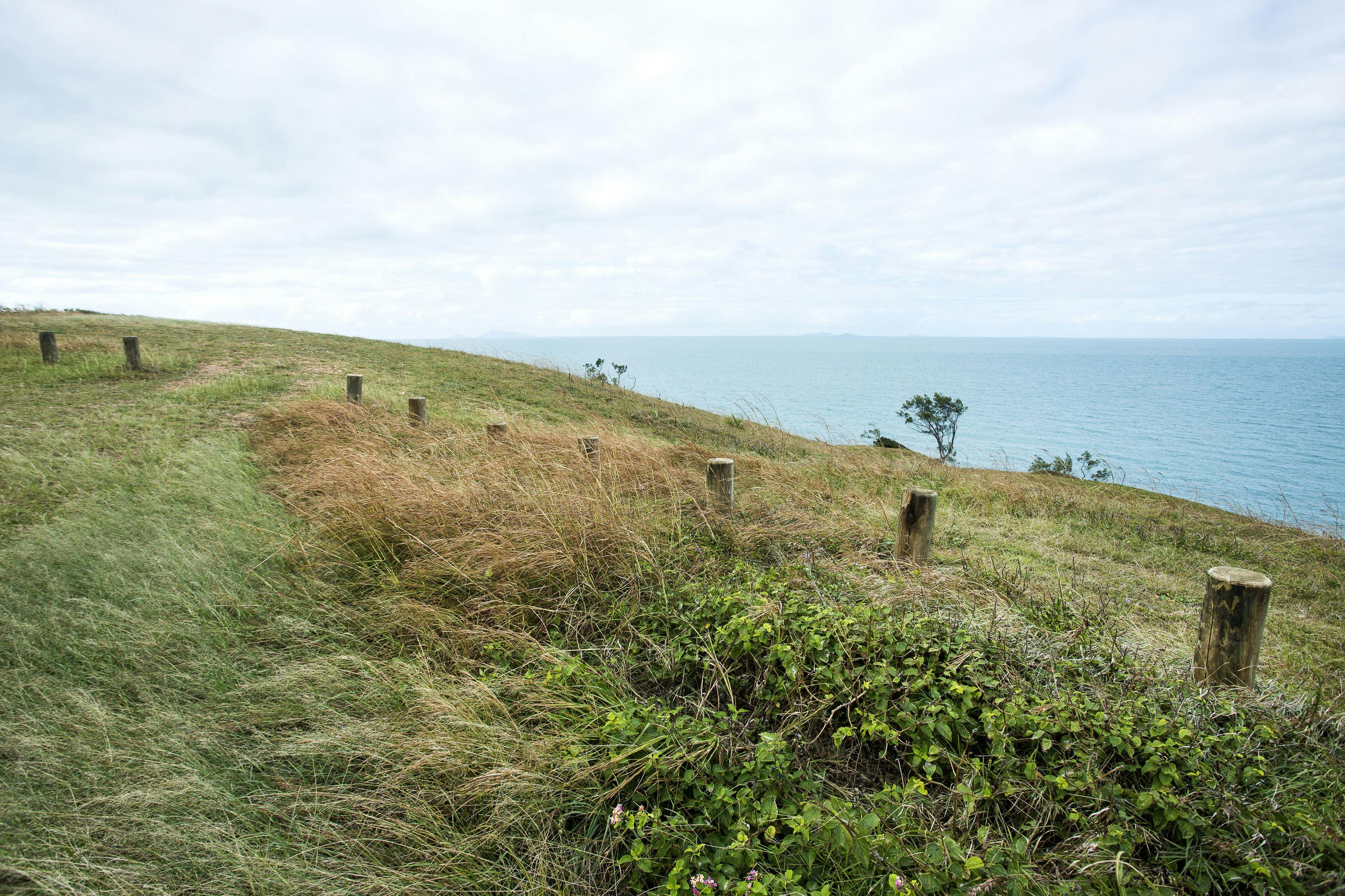 Vantage point on Cape Palmerston, Cape Palmerston National Park