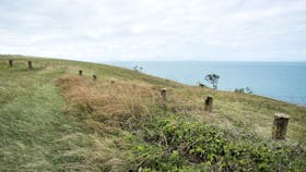 Oceanviews from top of Cape Palmerston