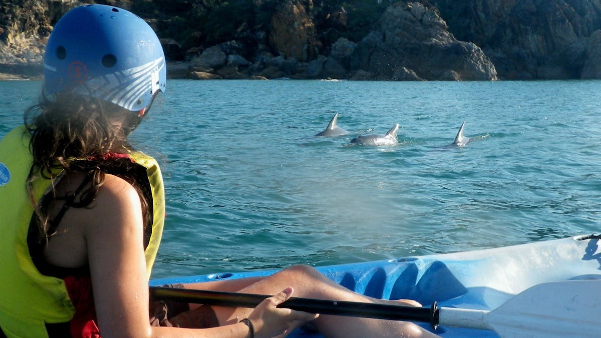 Kayaking with dolphins in 1770