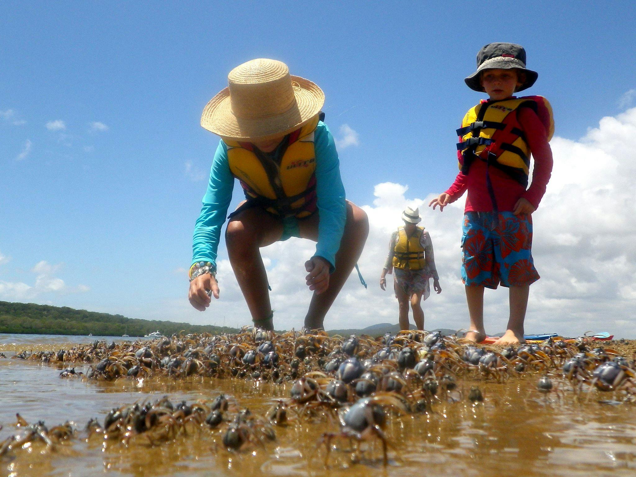 Kids exploring nature in 1770Exploring nature on a family kayak tour with 1770 Liquid Adventures