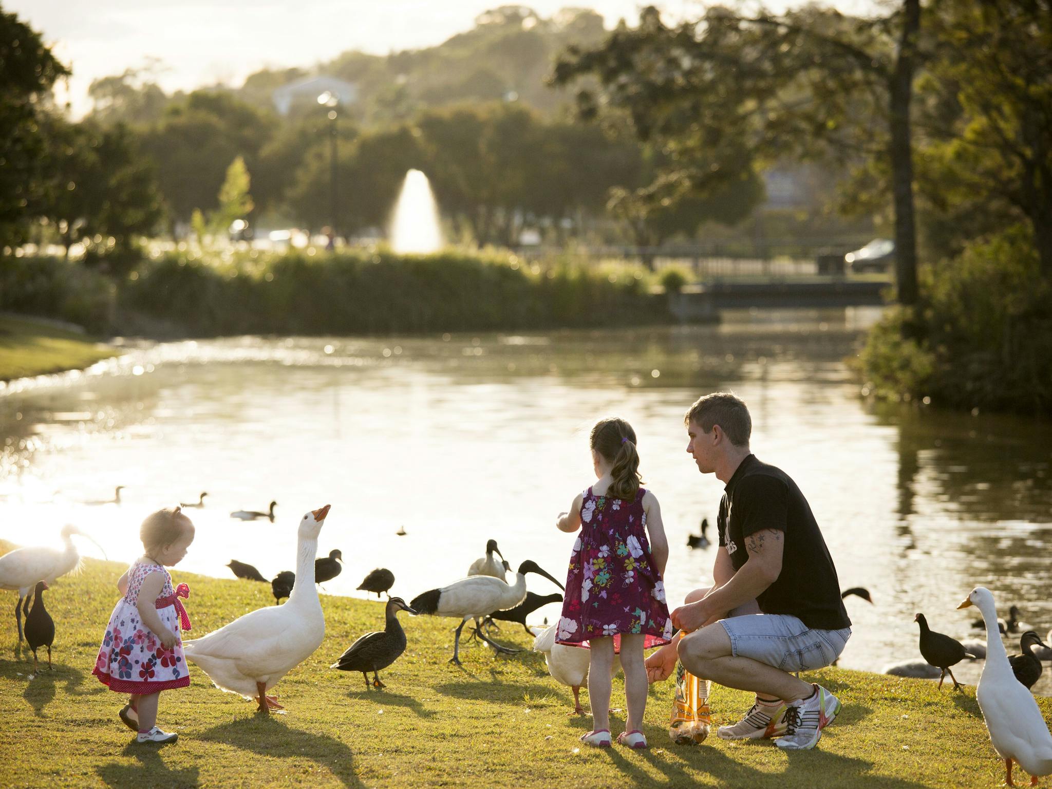 Lake Alford Recreational Park