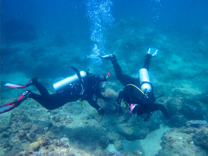 Recovery of the Great Barrier Reef