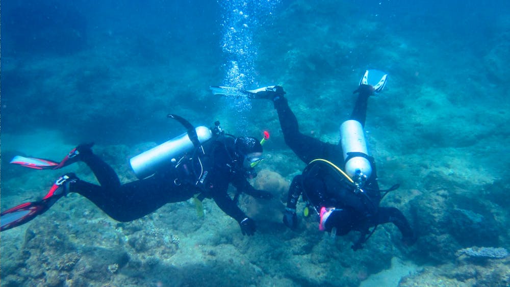 Recovery of the Great Barrier Reef