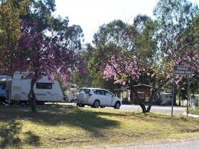 Eidsvold Caravan Park