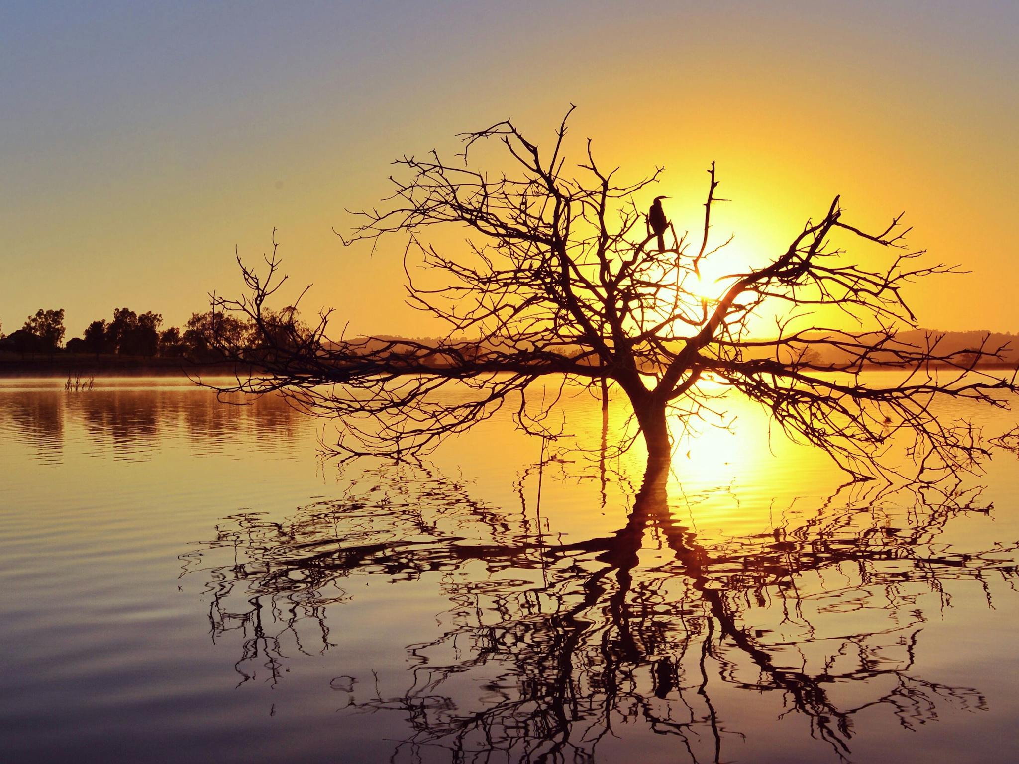 Lake Dyer Lake Dyer
