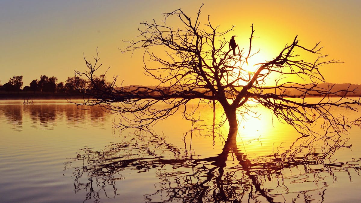 Lake Dyer