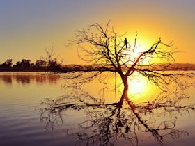Lake Dyer Caravan & Camping