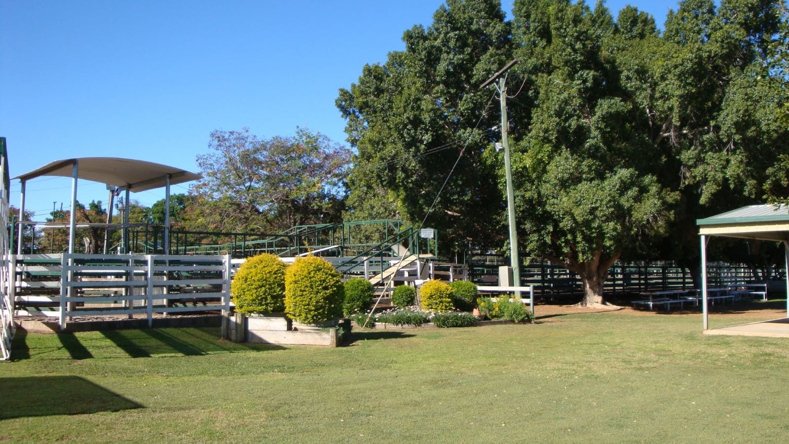 Blackall Saleyards