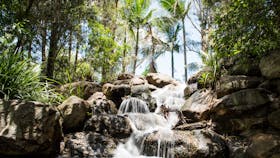 Kholo Gardens, Pine Mountain, Ipswich, Queensland