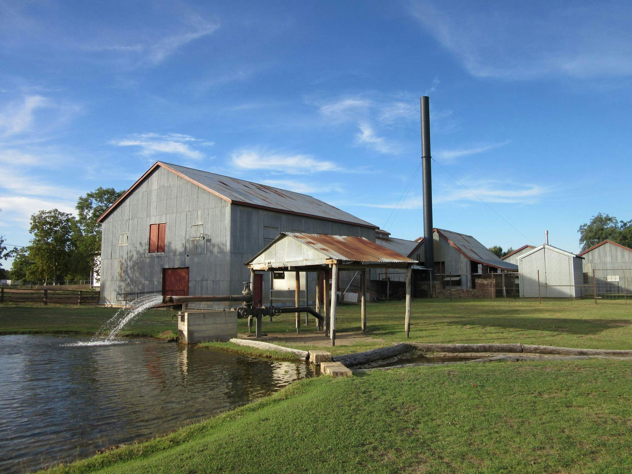 Woolscour, shearing, 