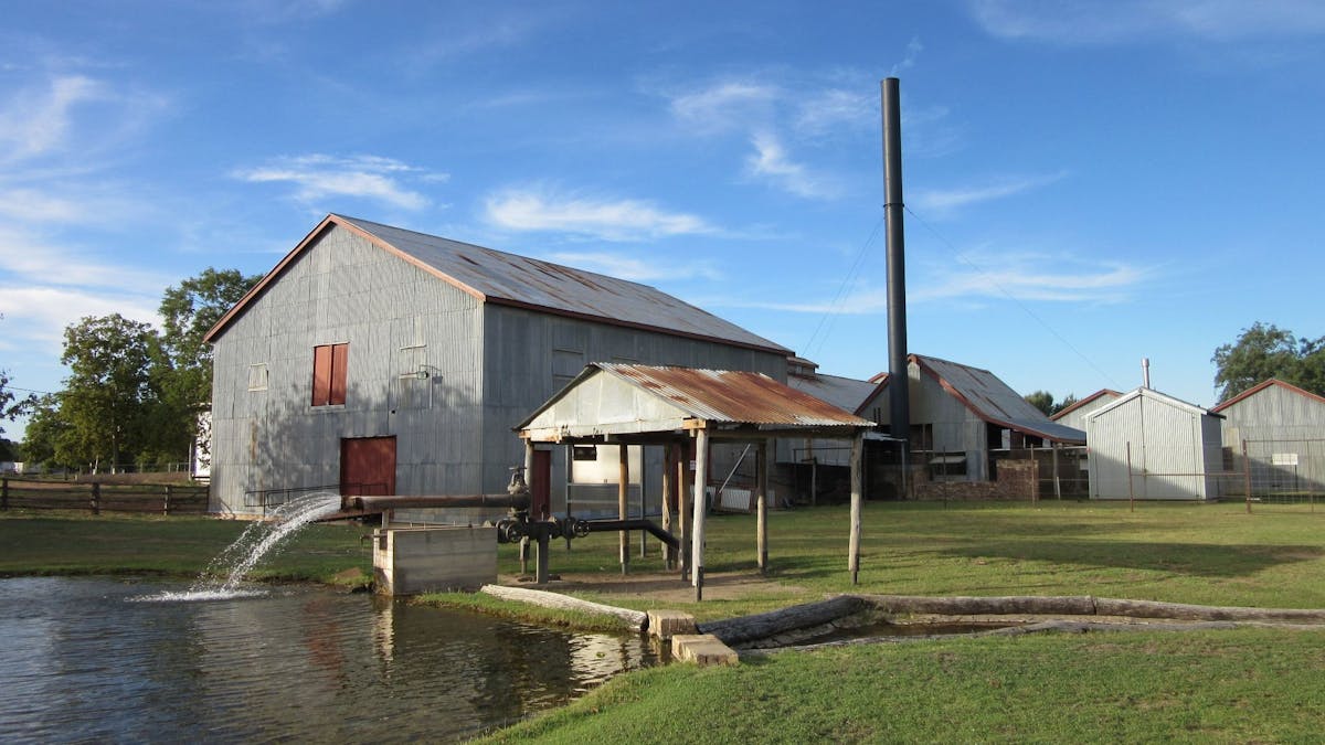 Woolscour, shearing, 