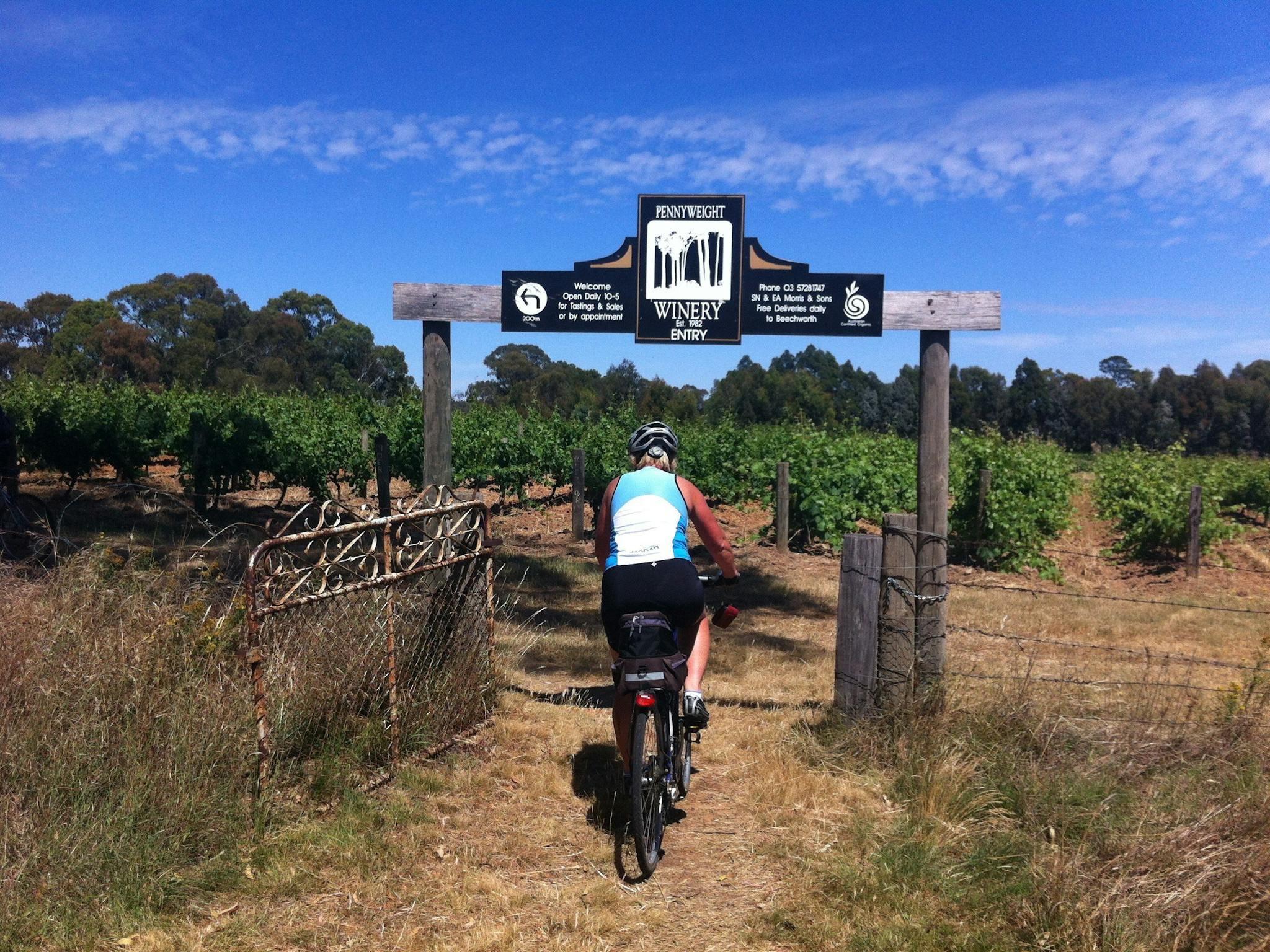 Cycling to a cellar door in the Beechworth wine region