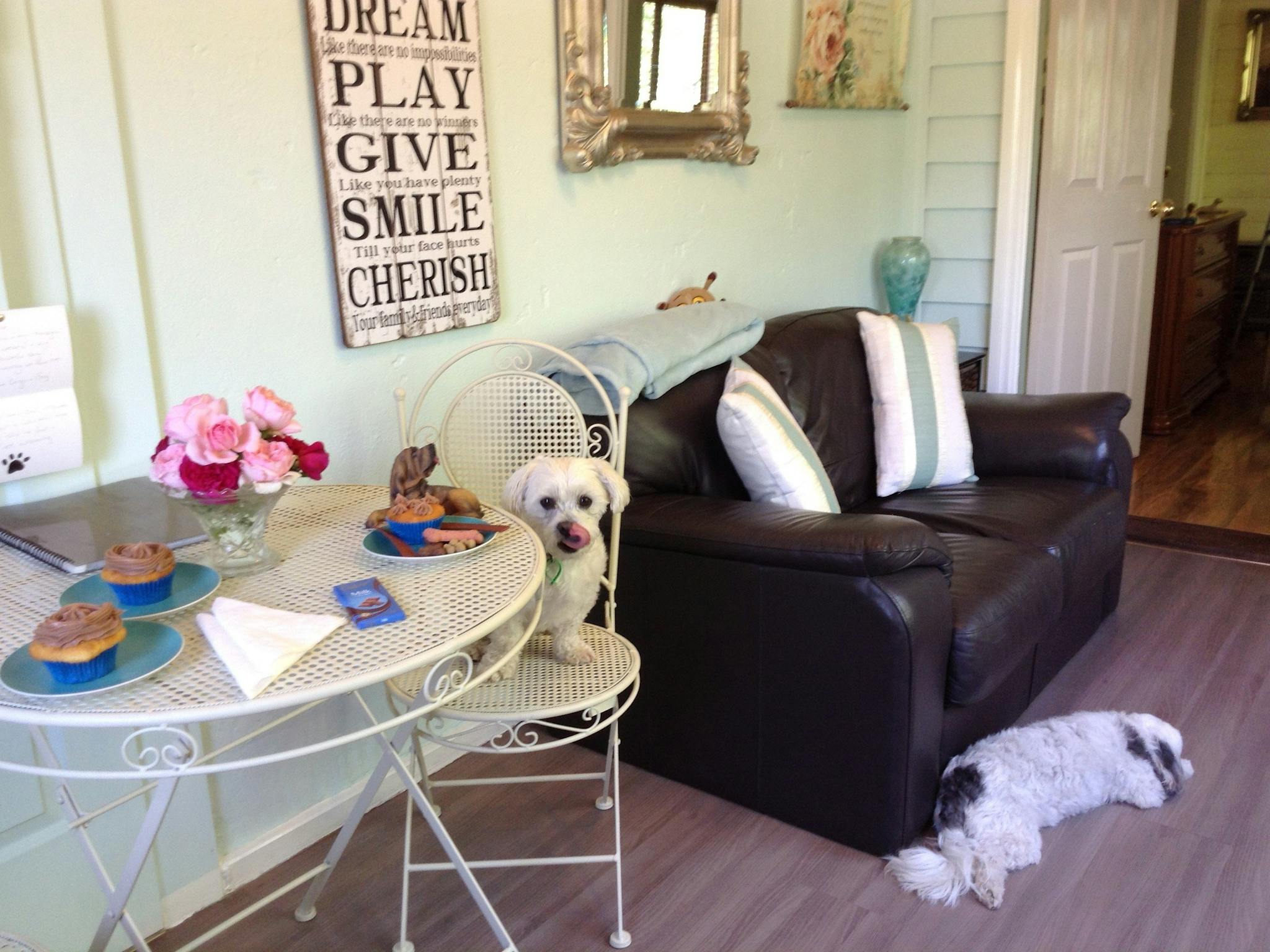 lounge room of garden suite,fur guest awaiting treat