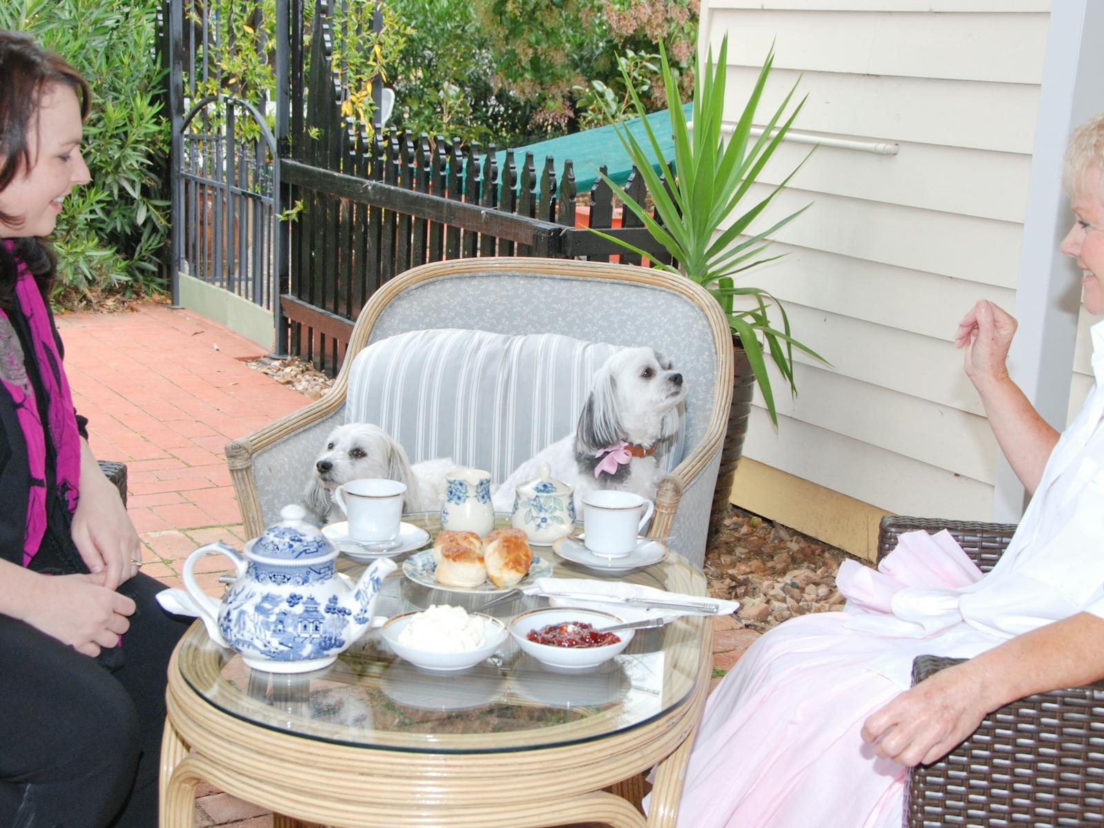 guests enjoying a dev tea.group bookings welcome