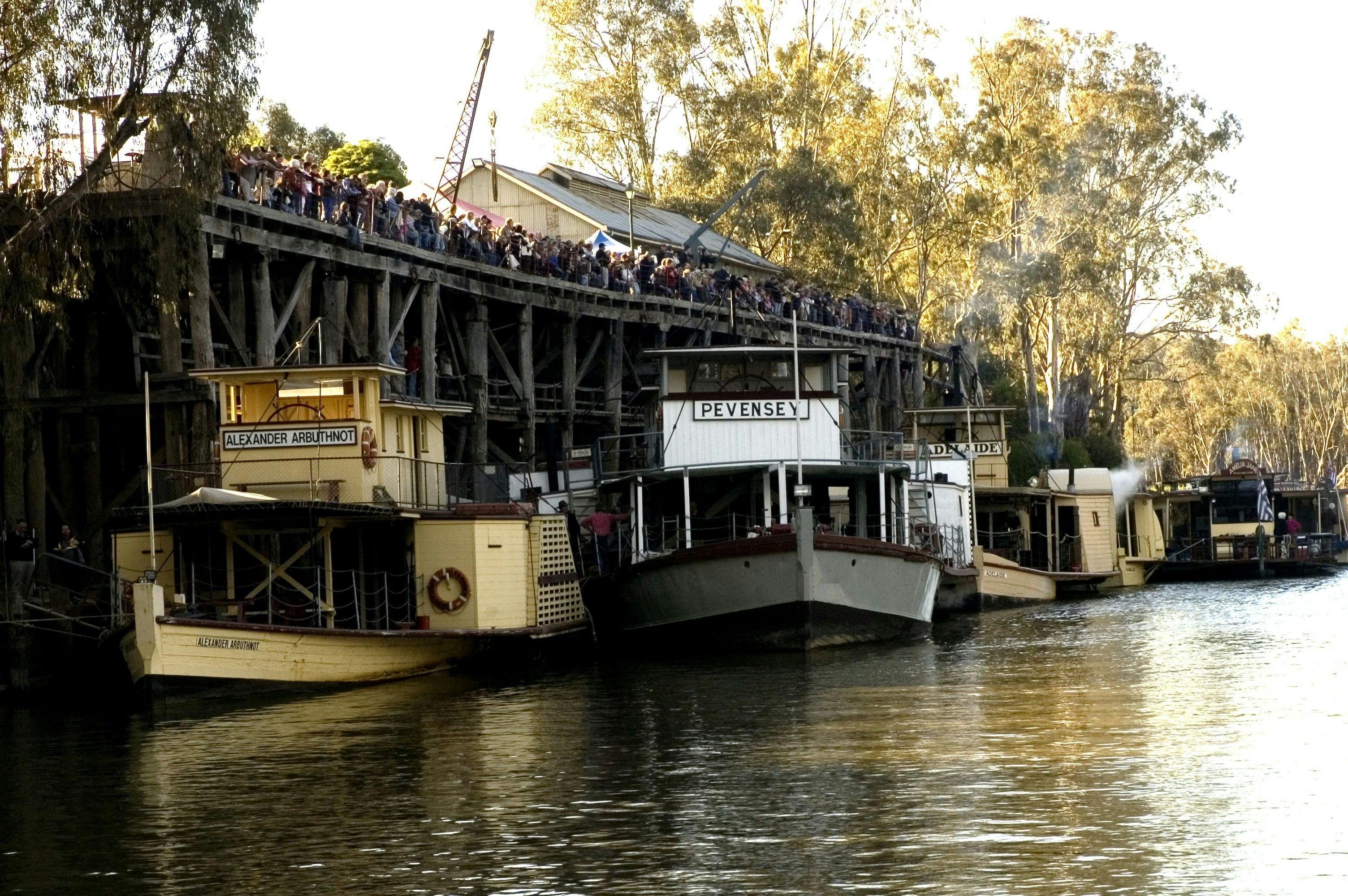 Echuca Paddlesteamers NSW Holidays & Things to Do