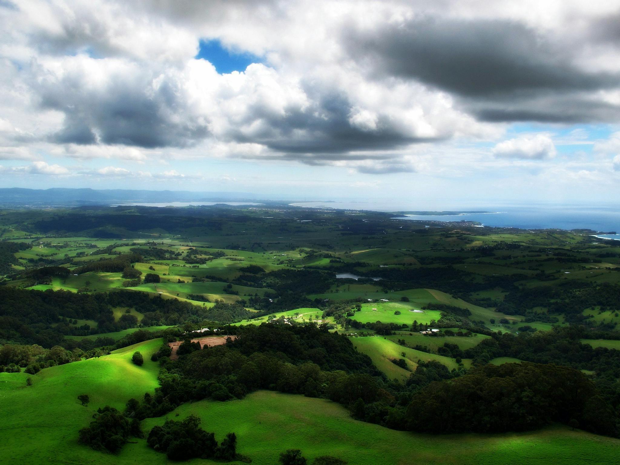 Saddleback