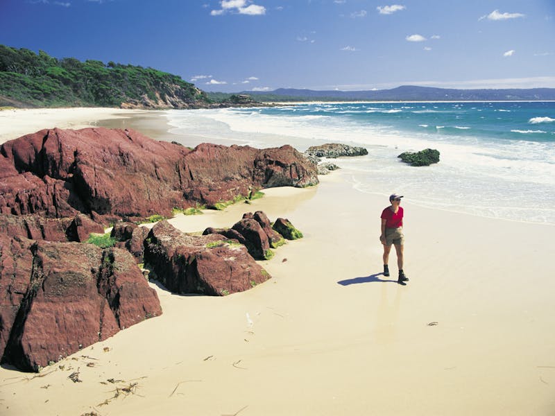 Pambula Beach NSW Holidays & Things to Do, Attractions