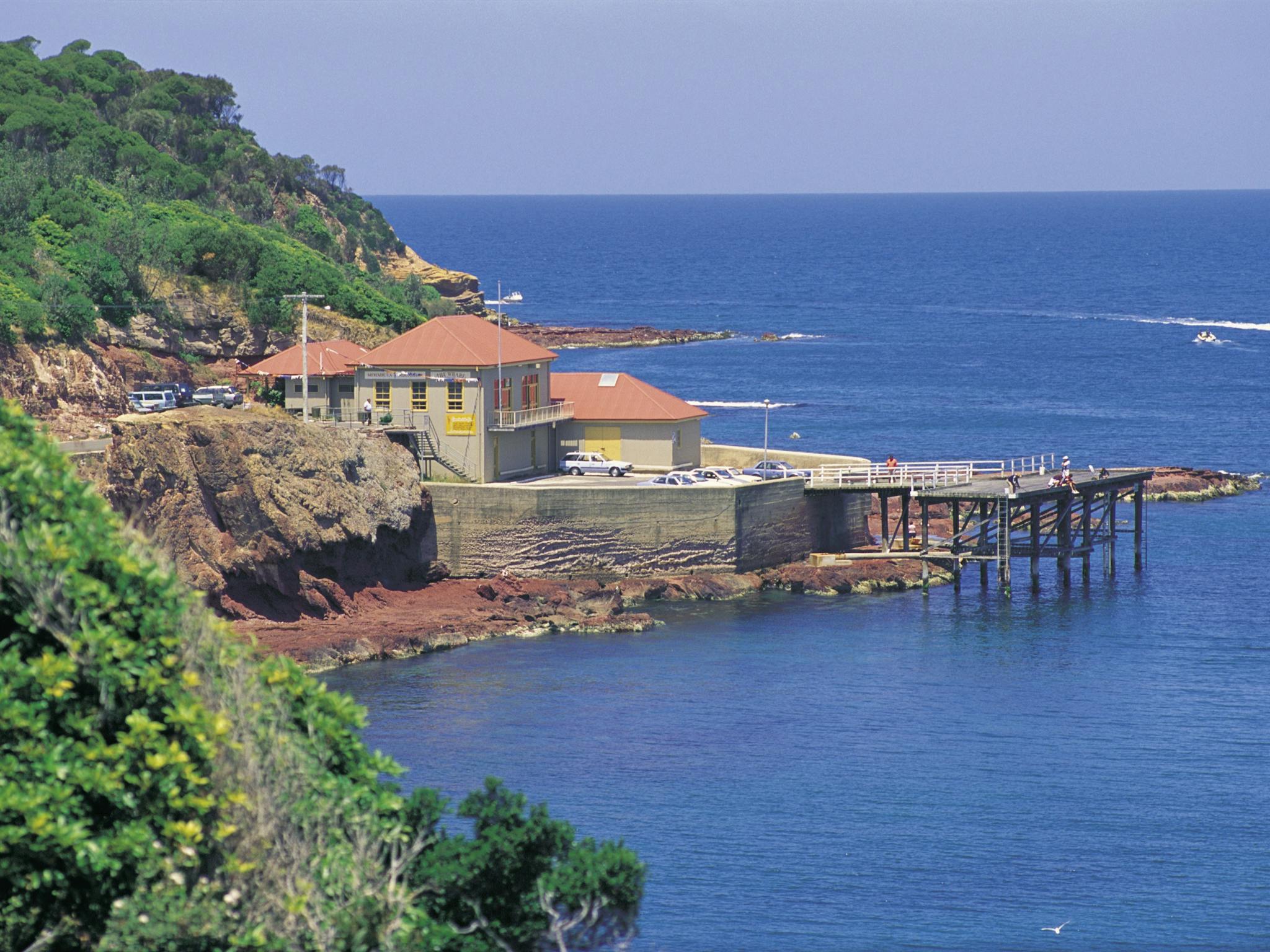 Small Fish Merimbula Merimbula Aquarium | NSW Holidays & Accommodation, Things to Do ...