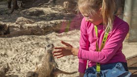 Werribee Open Range Zoo