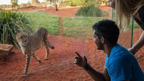Werribee Open Range Zoo
