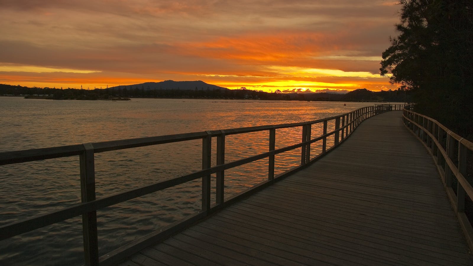 Mill Bay Boardwalk Narooma