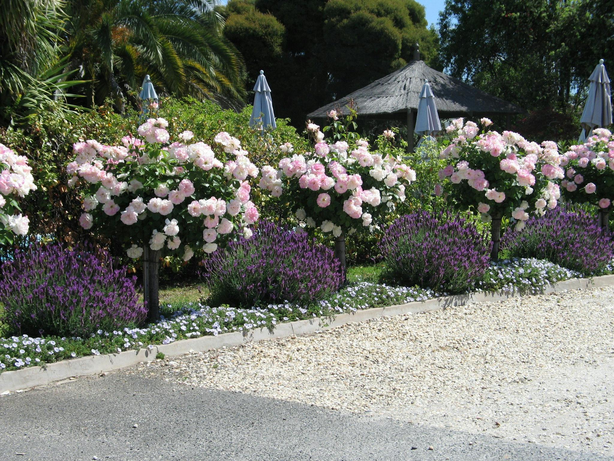 Entry Garden