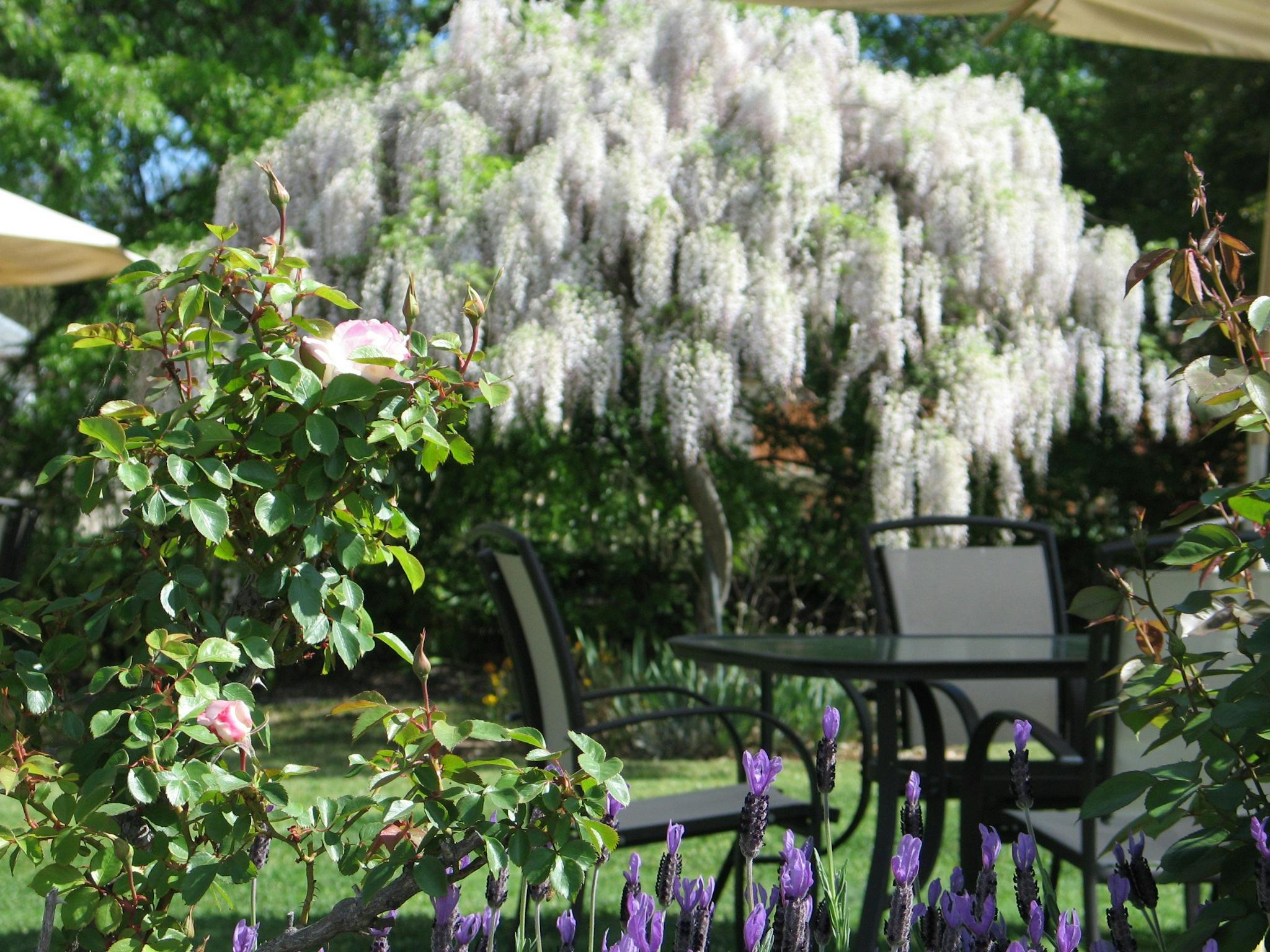 Spring Colours