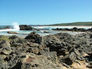Coastal Walks - Bermagui