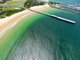Coffs Ocean Swims 2013