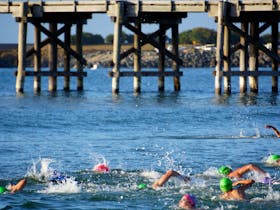 Coffs Ocean Swims
