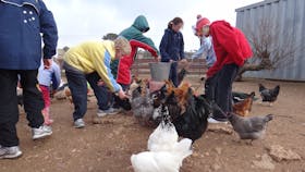Bathurst Farm Experience